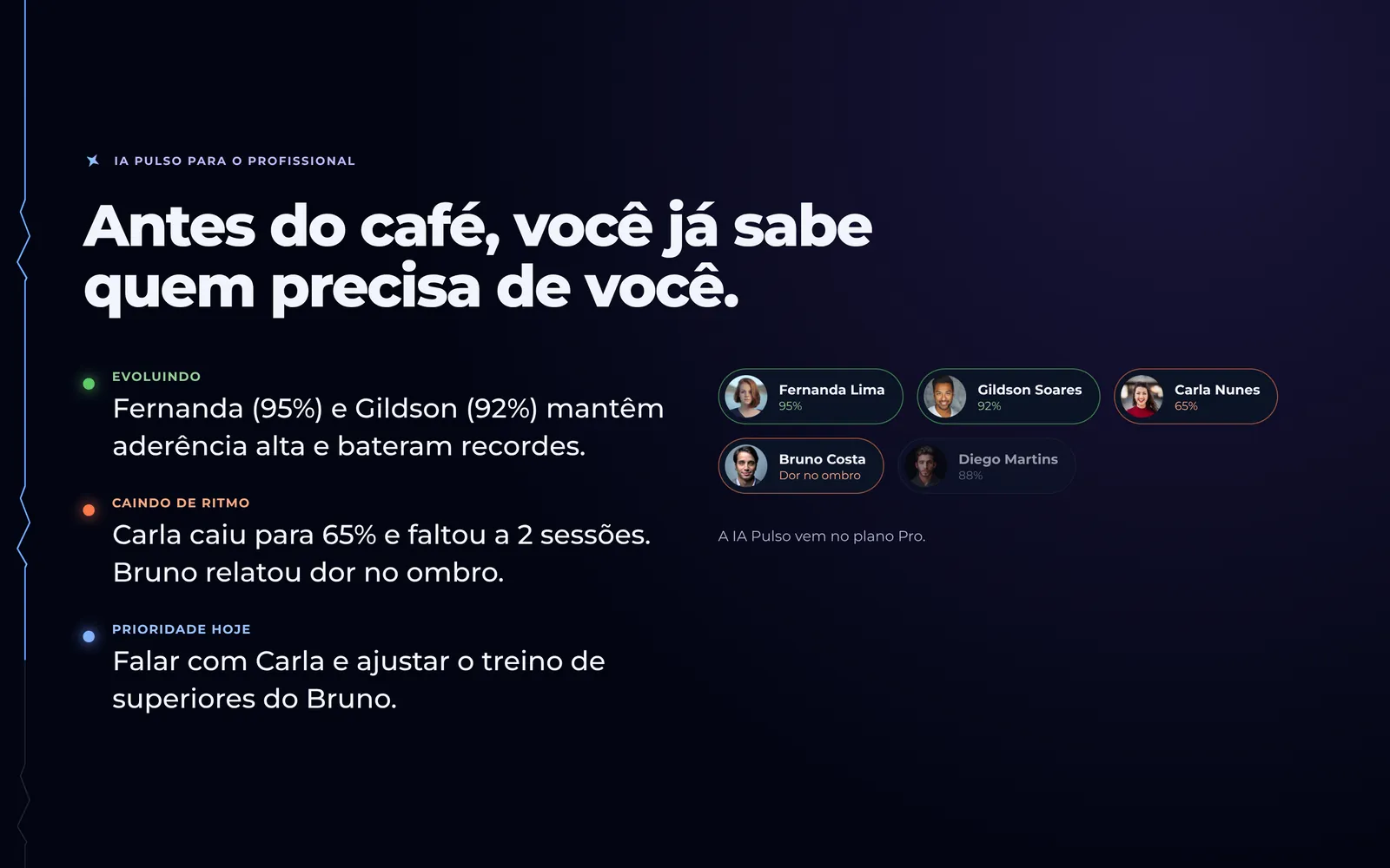 Resumo da IA Pulso